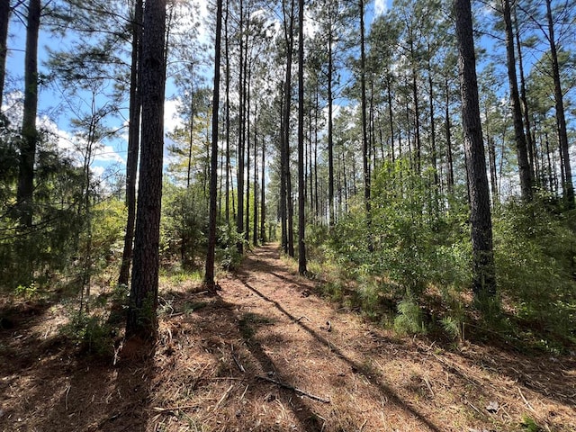 0 E County Road 22, Headland, AL 36345