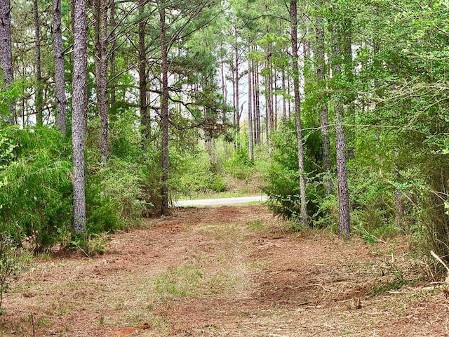 0 E County Road 22, Headland, AL 36345