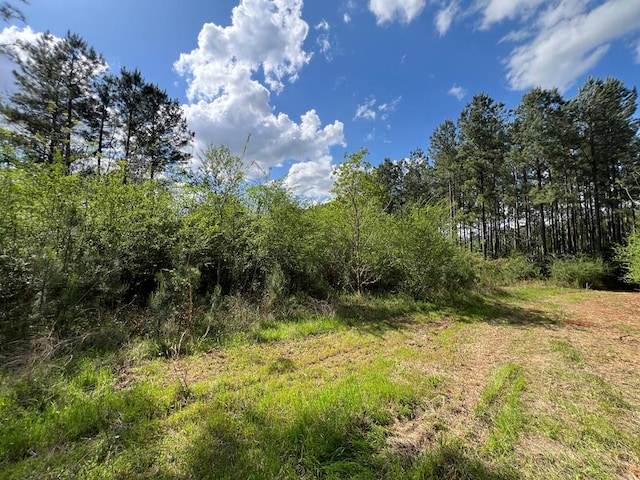 0 E County Road 22, Headland, AL 36345