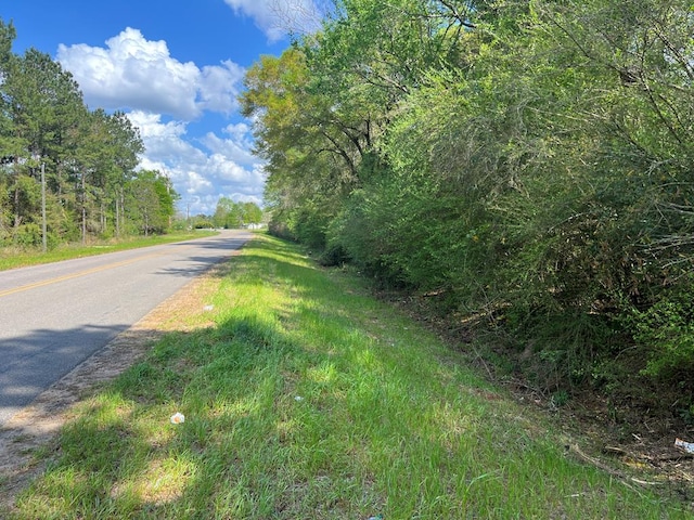 0 E County Road 22, Headland, AL 36345