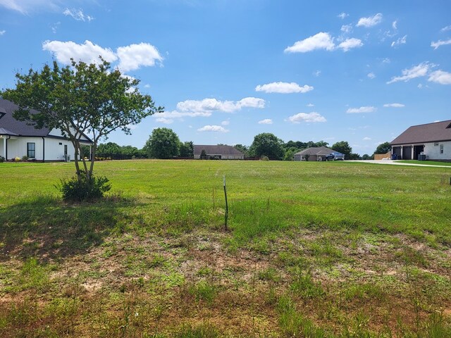 LOT8 County Road 49, Headland, AL 36345 - photo 5