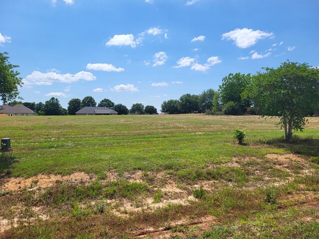 LOT8 County Road 49, Headland, AL 36345 - photo 4