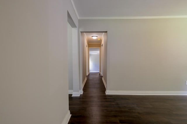 hallway featuring crown molding and dark wood-type flooring