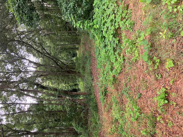 7ACRES Reeves St, Slocomb, AL 36375
