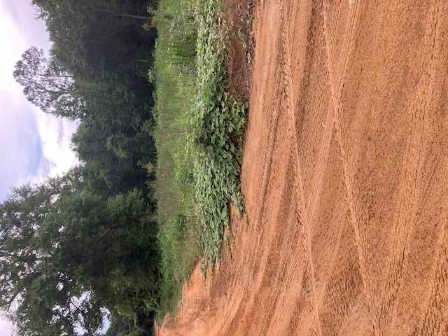 7ACRES Reeves St, Slocomb, AL 36375