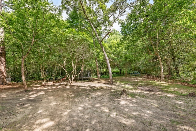 702 W Lee St, Enterprise, AL 36330 - view of yard with a trampoline and a forest view