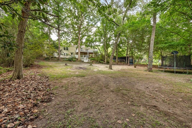 702 W Lee St, Enterprise, AL 36330 - view of yard featuring a trampoline
