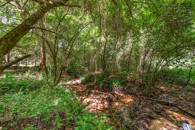 702 W Lee St, Enterprise, AL 36330 - view of tree filled area