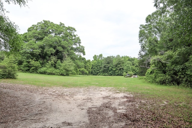 1622 W Main St, Daleville, AL 36322 - view of yard