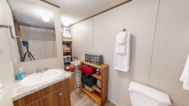 1622 W Main St, Daleville, AL 36322 - bathroom with a textured ceiling, toilet, wood finished floors, vanity, and a shower with shower curtain