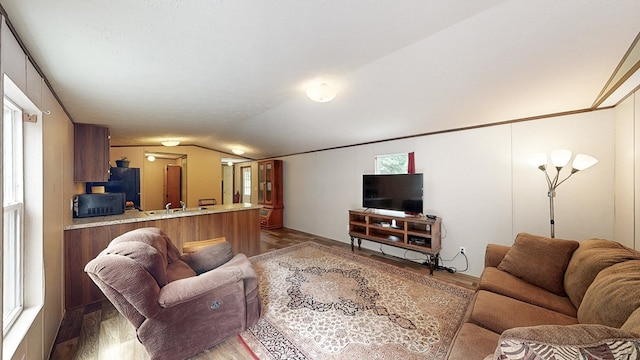 1622 W Main St, Daleville, AL 36322 - living room featuring light wood finished floors and lofted ceiling