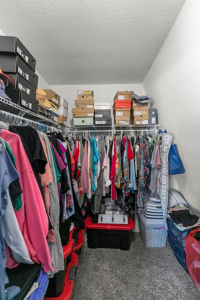 walk in closet with carpet floors