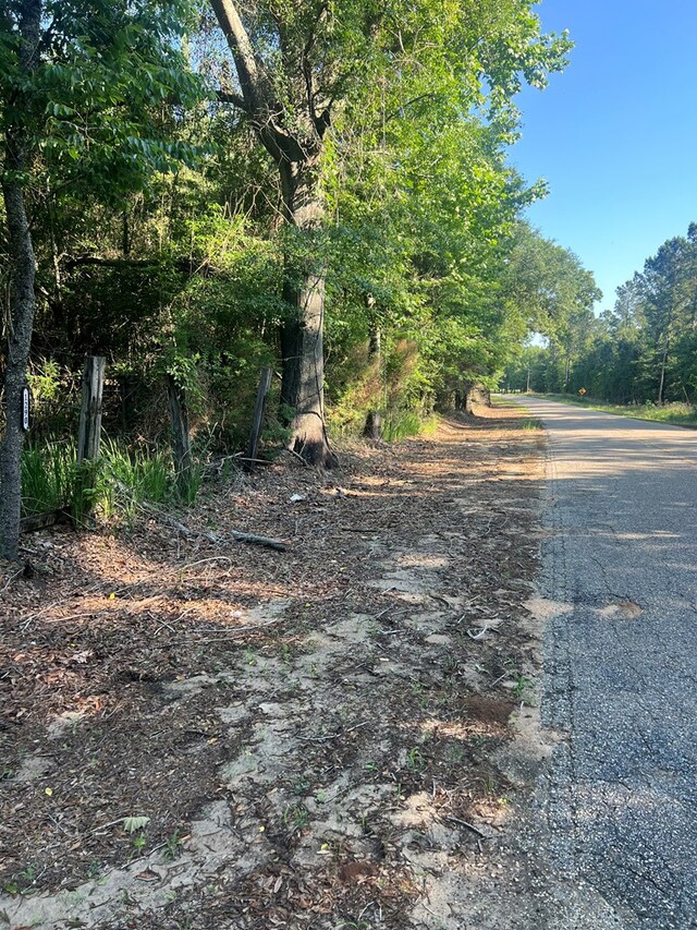 1290 Guy Branch Rd, Cottonwood, AL 36320 - photo 11