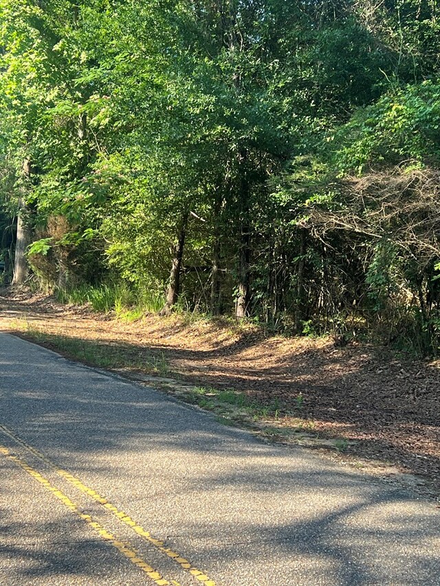 1290 Guy Branch Rd, Cottonwood, AL 36320 - photo 13
