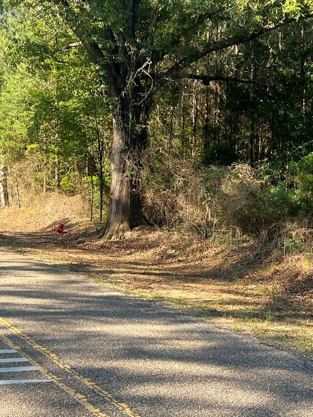1290 Guy Branch Rd, Cottonwood, AL 36320 - photo 12