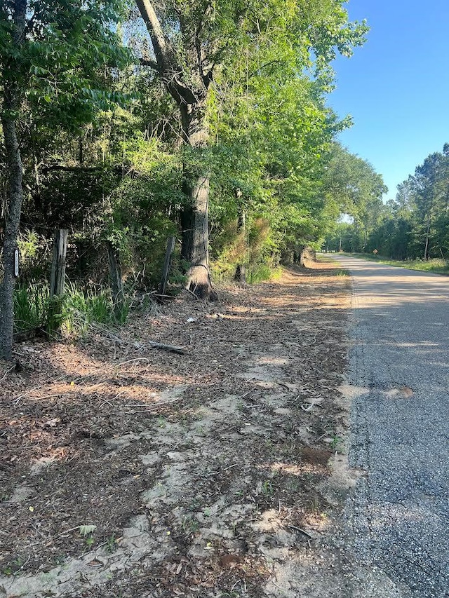 1290 Guy Branch Rd, Cottonwood, AL 36320 - photo 15