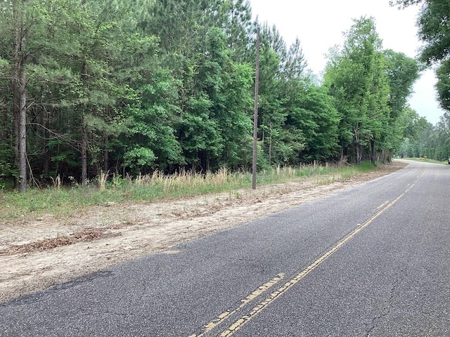 1290 Guy Branch Rd, Cottonwood, AL 36320 - photo 2
