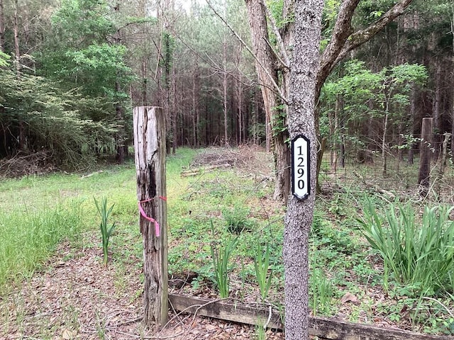 1290 Guy Branch Rd, Cottonwood, AL 36320 - photo 1