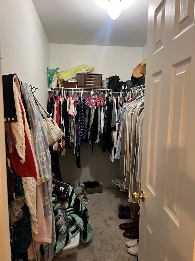 204 Melrose Ln, Dothan, AL 36303 - walk in closet with carpet flooring