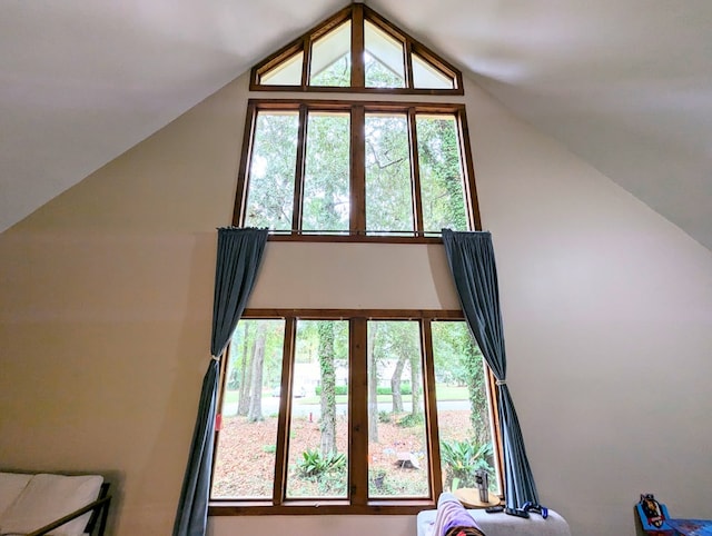 3602 Pebble Creek Ln, Dothan, AL 36303 - additional living space featuring plenty of natural light and vaulted ceiling
