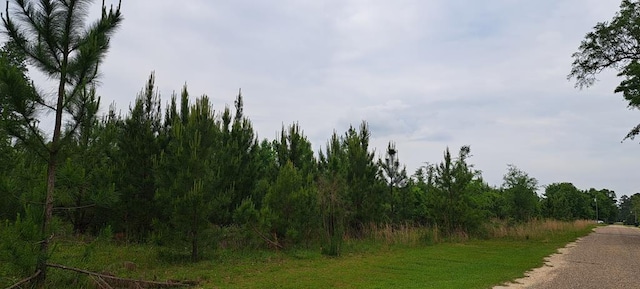 Address Not Disclosed, Gordon AL, 36343 land for sale