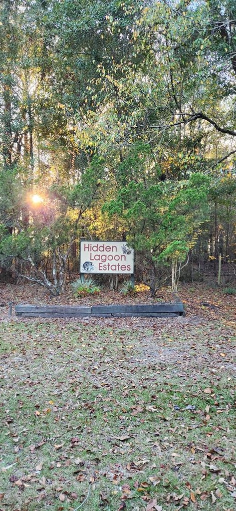 LOT33 Hidden Lagoon Ests, Ft Gaines GA, 39851 land for sale