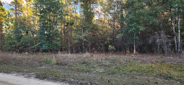 Listing photo 3 for LOT33 Hidden Lagoon Ests, Ft Gaines GA 39851