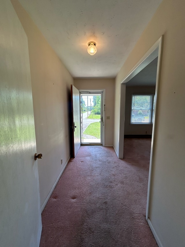 1000 Martin St, Dothan, AL 36301 - doorway featuring carpet flooring and baseboards