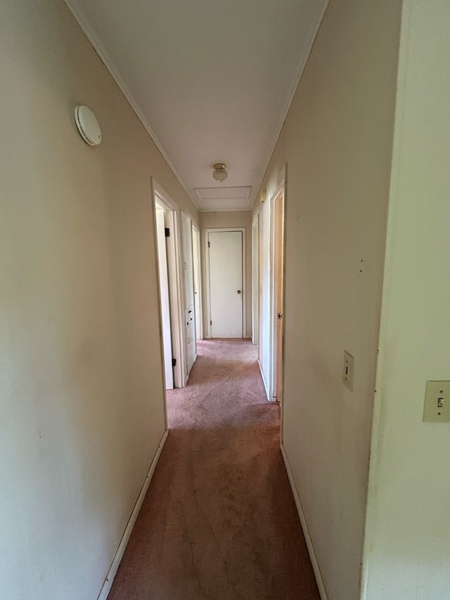 1000 Martin St, Dothan, AL 36301 - hall featuring crown molding, light colored carpet, and baseboards