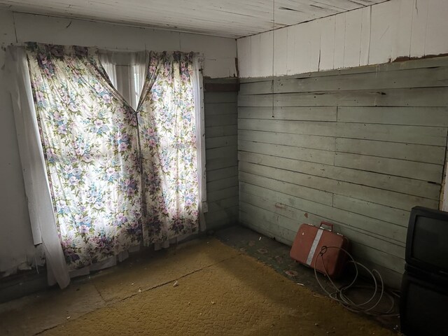 unfurnished room featuring wood walls