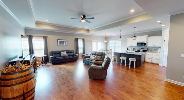 living room featuring a tray ceiling and a healthy amount of sunlight