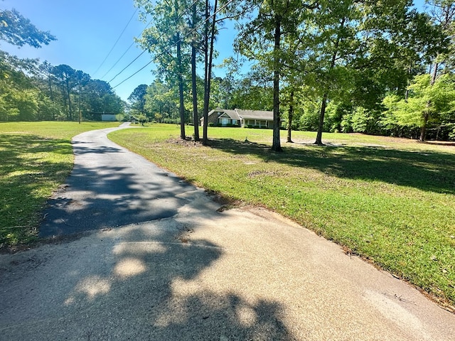 view of road