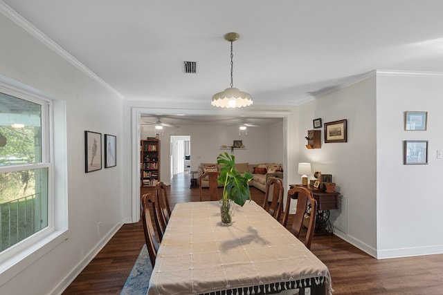 dining space with ceiling fan, crown molding, and dark hardwood / wood-style floors