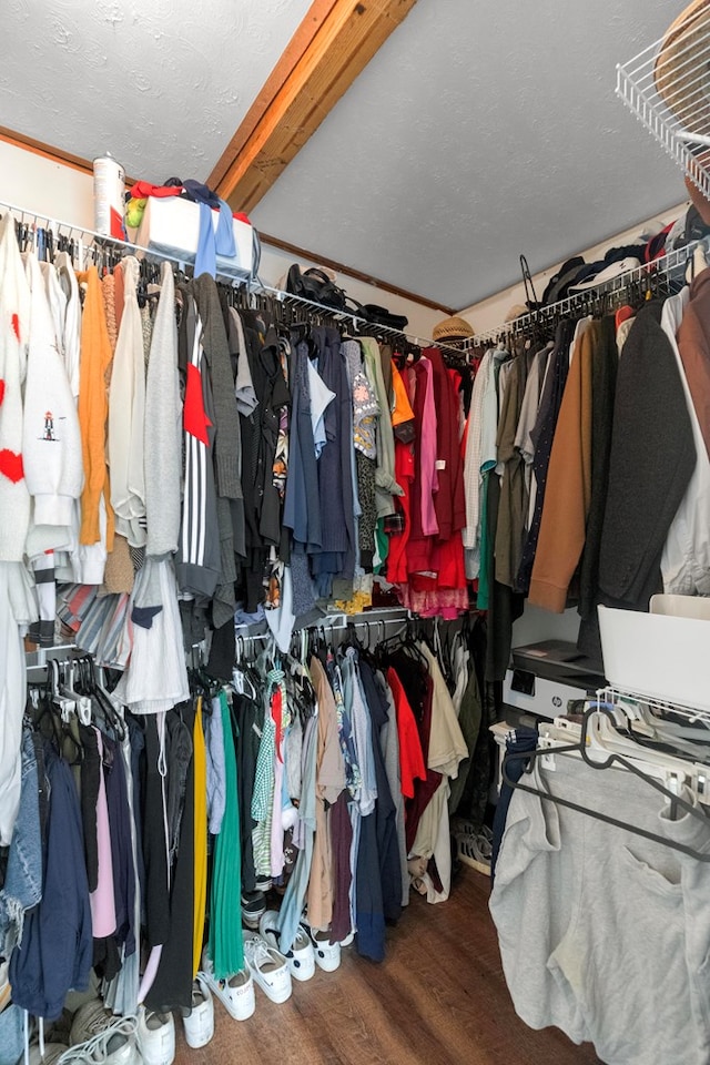 spacious closet featuring wood-type flooring