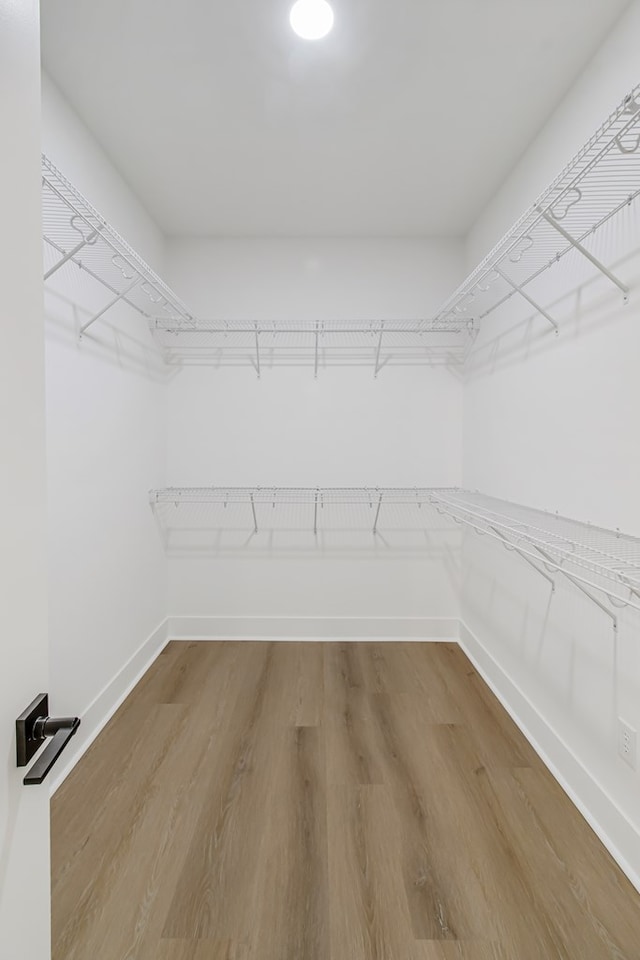 walk in closet with hardwood / wood-style flooring