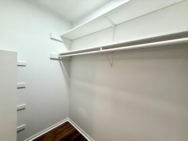 143 Durby Ln, Dothan, AL 36305 - walk in closet with dark wood finished floors