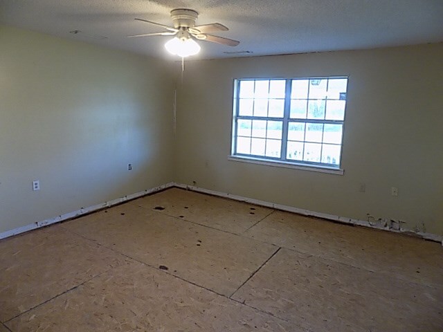 6795 S County Road 33, Ashford, AL 36312 - photo 8