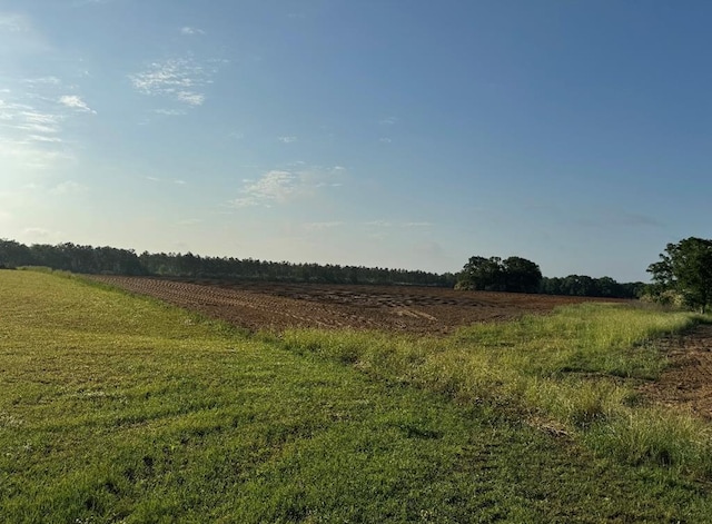 0 Skipper Rd, Rehobeth AL, 36301 land for sale