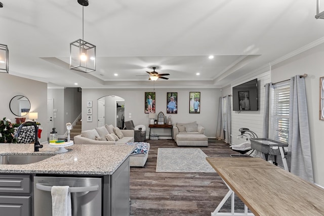 kitchen with a raised ceiling, dark hardwood / wood-style flooring, stainless steel dishwasher, and sink