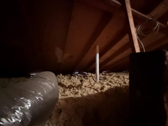 view of attic