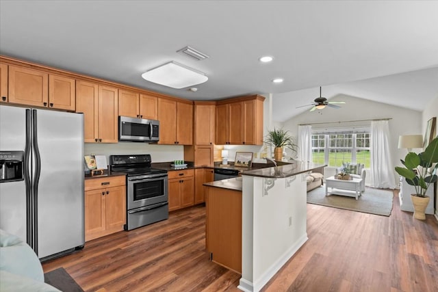 493 Shiloh Rd, Hartford, AL 36344 - kitchen with stainless steel appliances, a peninsula, dark wood-type flooring, dark countertops, and lofted ceiling