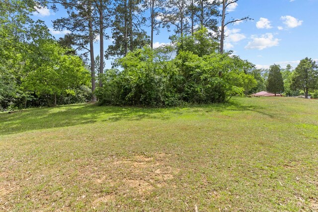 505 Kendall, Eufaula, AL 36027 - photo 39