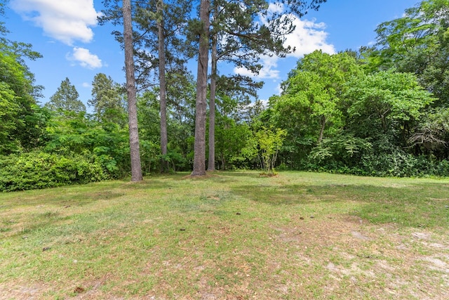 view of green lawn featuring a wooded view