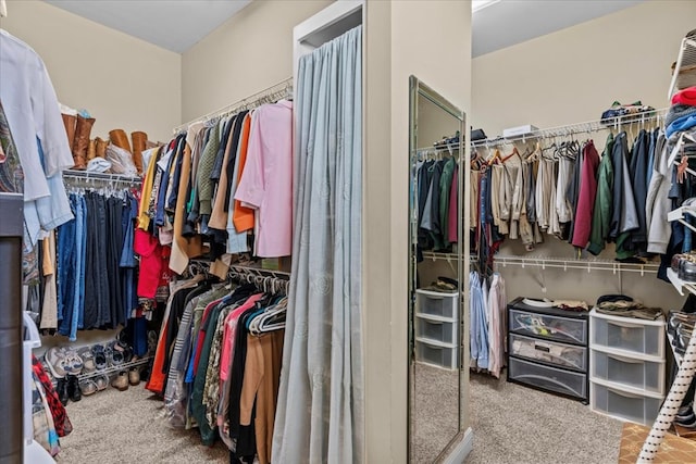 spacious closet featuring carpet flooring