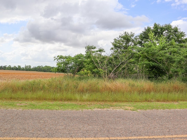 Listing photo 3 for 00036ACRES Rice Rd, Taylor AL 36301