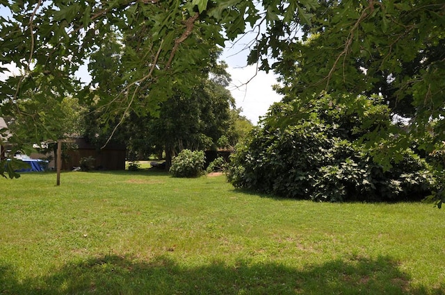 210 Anderson St, Kinston, AL 36453 - view of green lawn