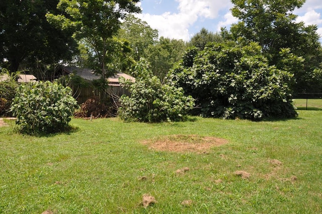 210 Anderson St, Kinston, AL 36453 - view of yard