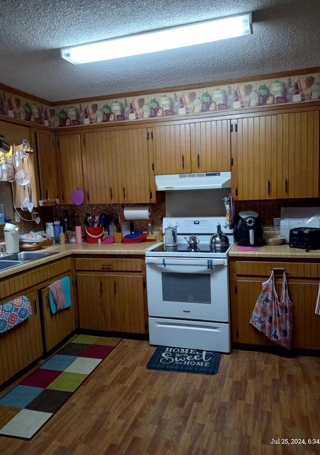210 Anderson St, Kinston, AL 36453 - kitchen with white electric stove, under cabinet range hood, light wood-style flooring, light countertops, and a textured ceiling