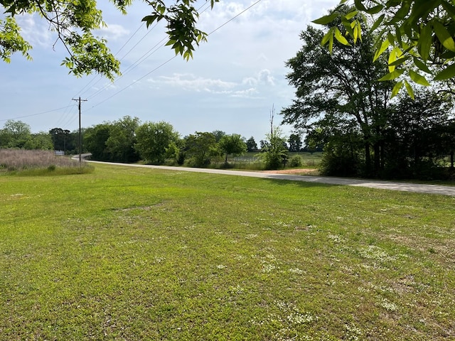 1339 Davis St, Columbia, AL 36319 - view of green lawn