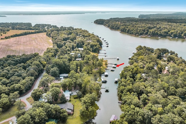 668 Lake Front Dr, Abbeville, AL 36310 - drone / aerial view of a large body of water